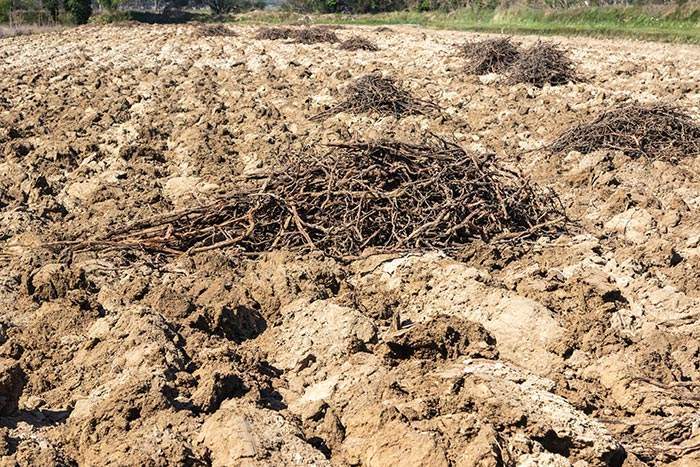 Entreprise arrachage de vigne Clermont-l'Hérault